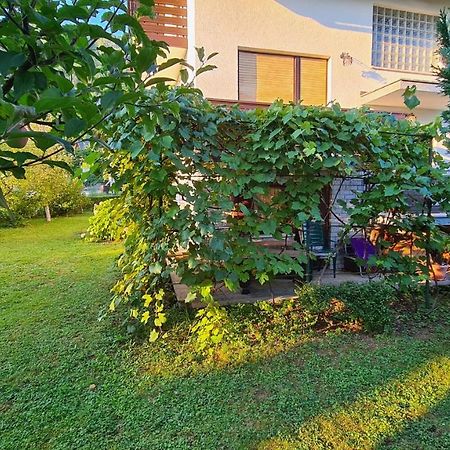 Apartment Ajdna Жировница Экстерьер фото