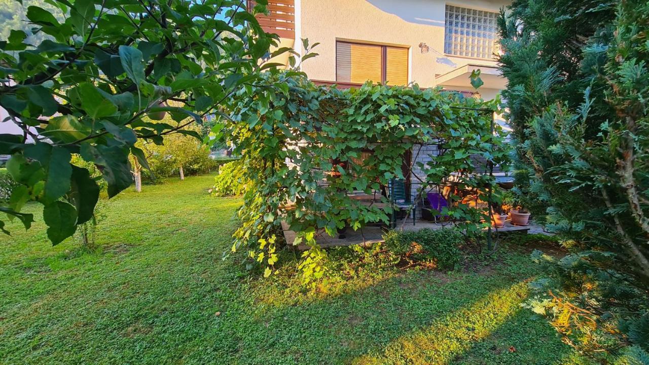 Apartment Ajdna Жировница Экстерьер фото